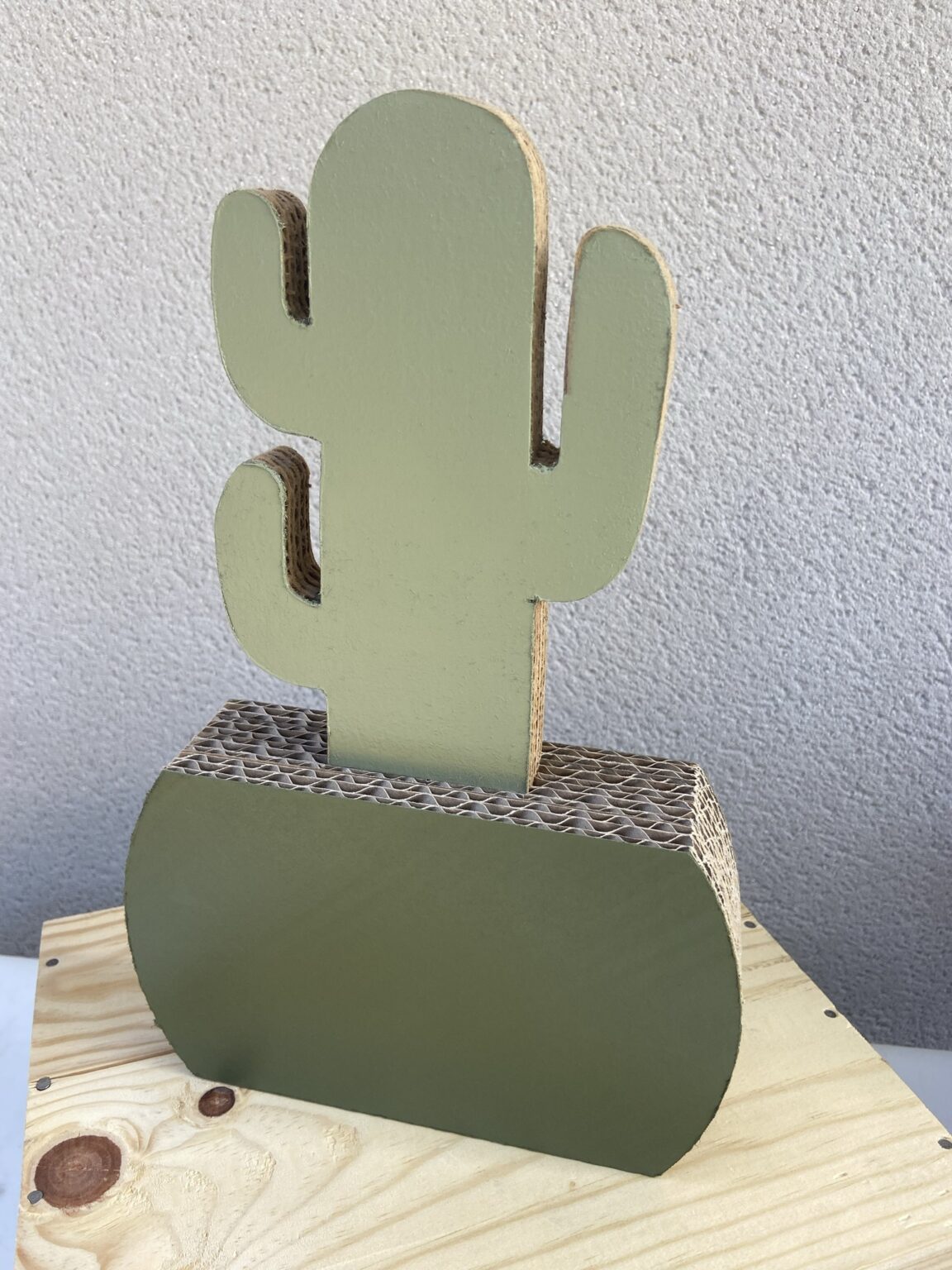 Cactus en Pot de Carton 1 Plant